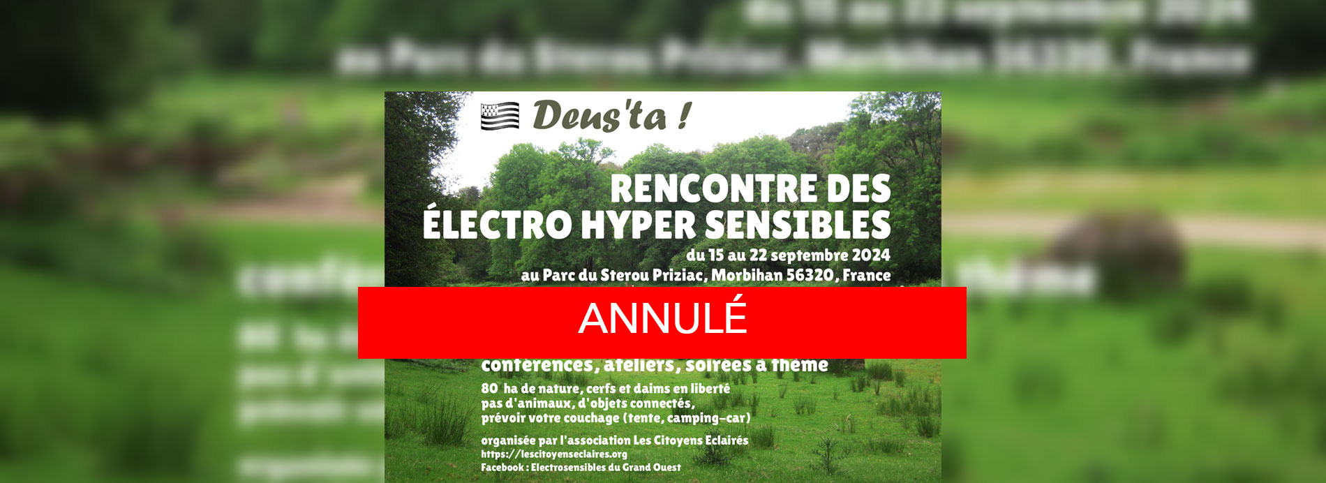 linky lorient